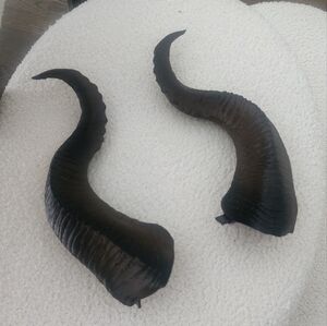 Black Costume Horns - Maleficent